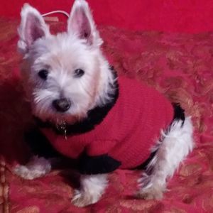 Meet your Posher, Karen